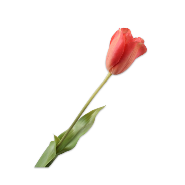 TULIP STEM, RED, L:72 CM
