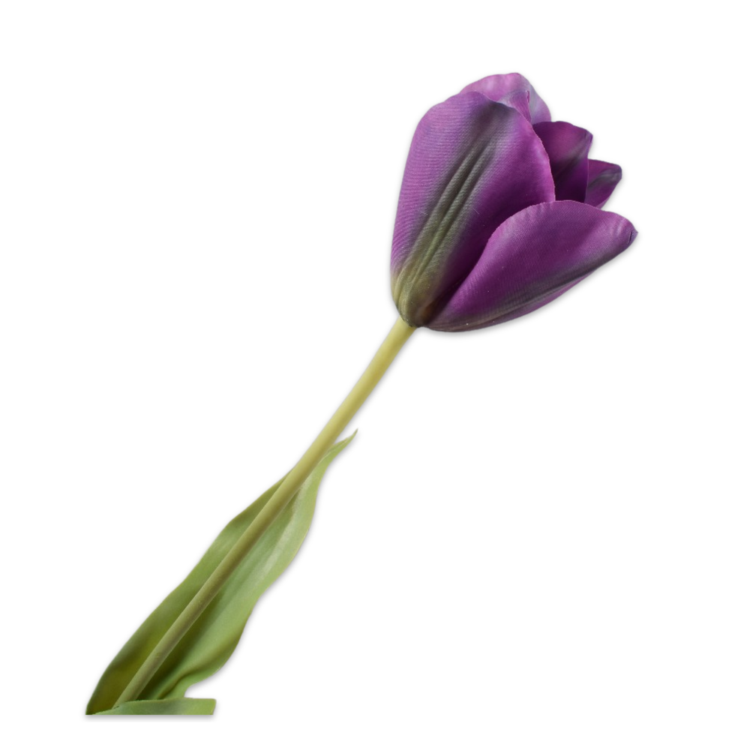 TULIP STEM PURPLE, L:72 CM