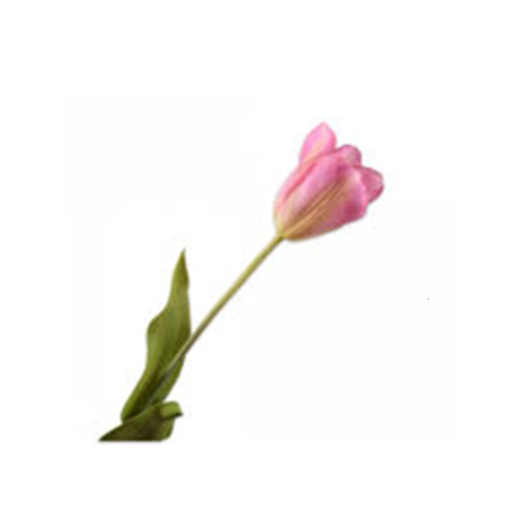 TULIP STEM, PINK / GREEN, L:72 CM