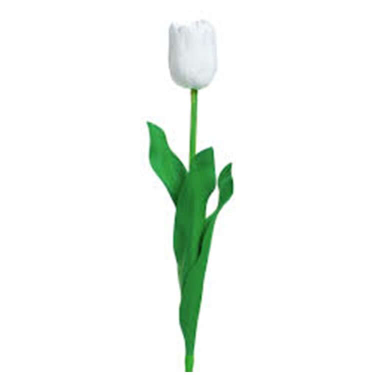 TULIP STEM, GREEN / WHITE, L:72 CM