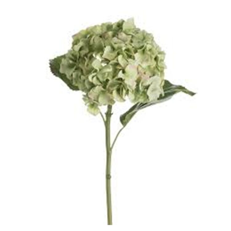 HYDRANGEA STEM GREEN, L:86 CM