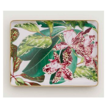 PASSIFOLIA SMALL TRAY ORCHID