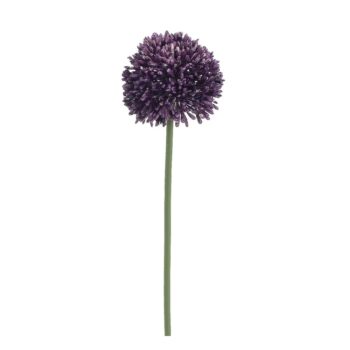 ALLIUM STEM PURPLE, H:78 CM